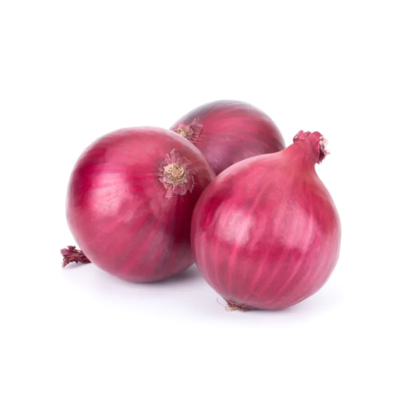 Organic red onion 2lbs