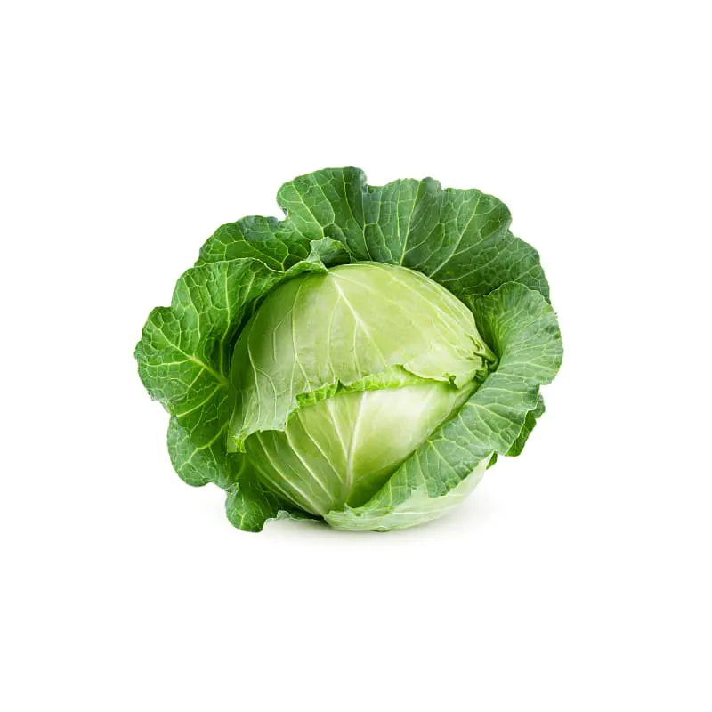 Fresh Cabbage 2lbs